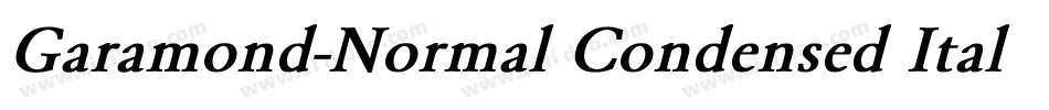 Garamond-Normal Condensed Italic字体转换